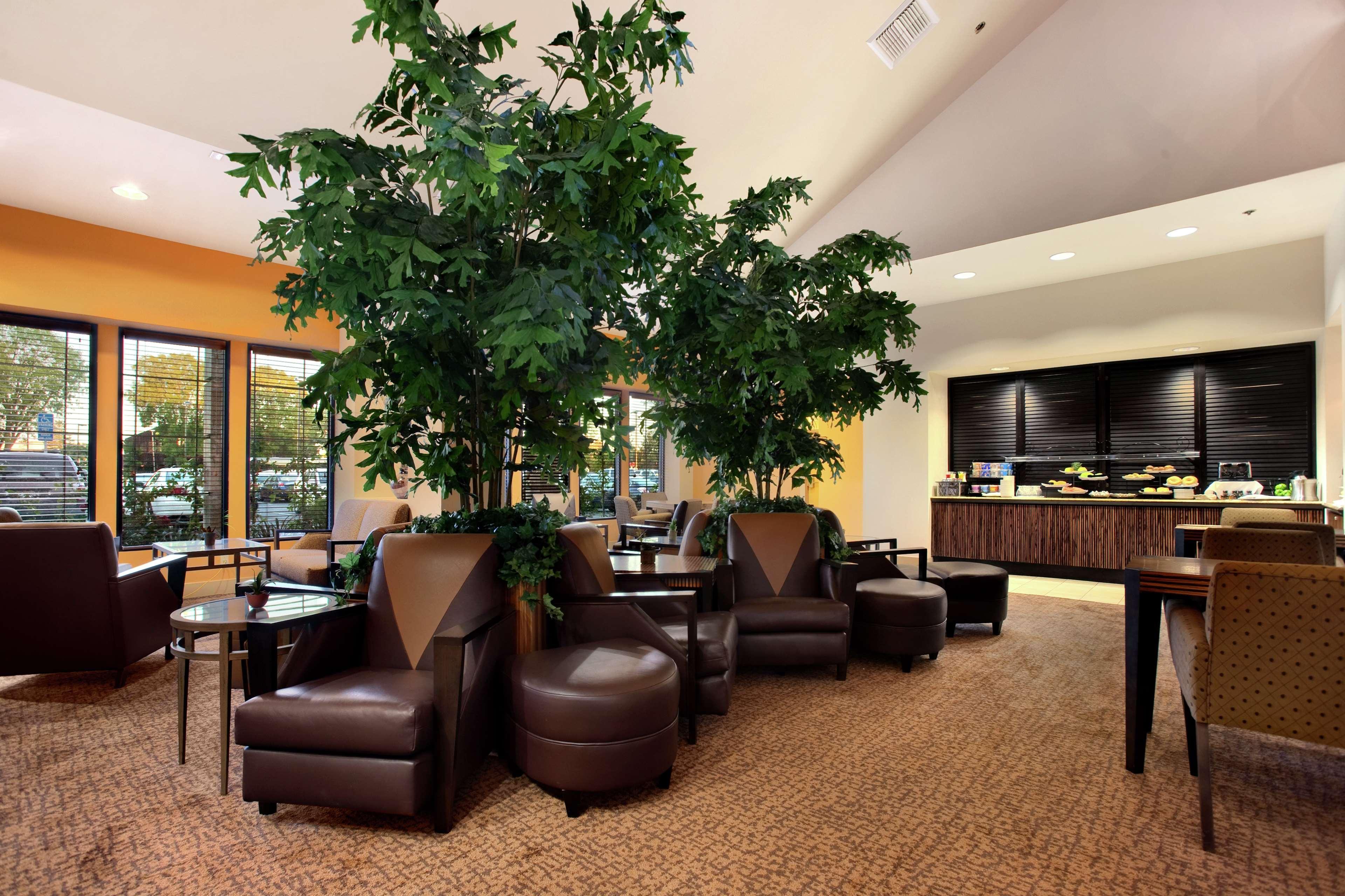 Hilton Stockton Ξενοδοχείο Εσωτερικό φωτογραφία